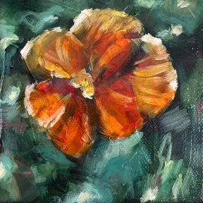 "Orange Dream"