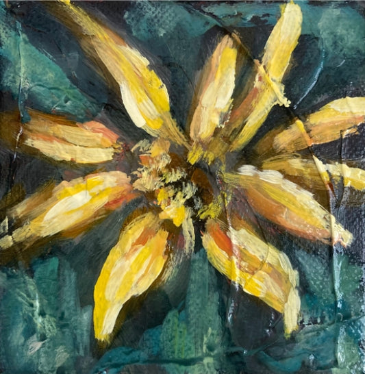"Garden Surprise"