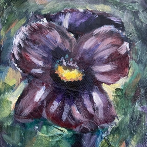 "Miss Viola"