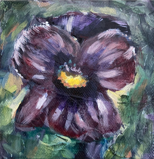 "Miss Viola"