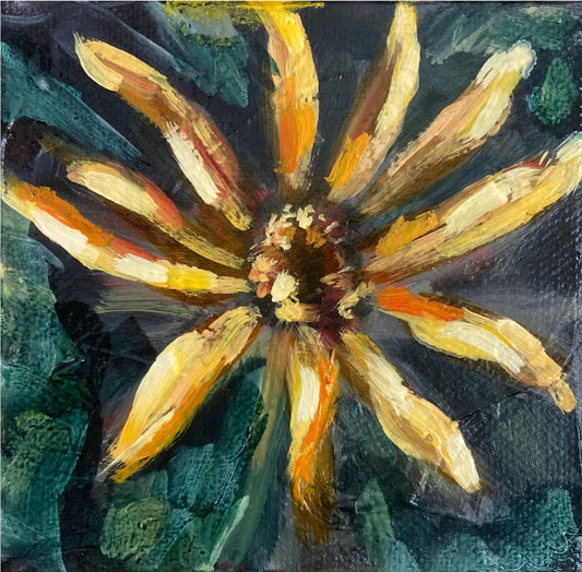 "Morning Sun"
