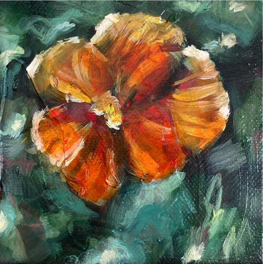 "Orange Dream"
