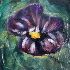 "Viola Vibrance"