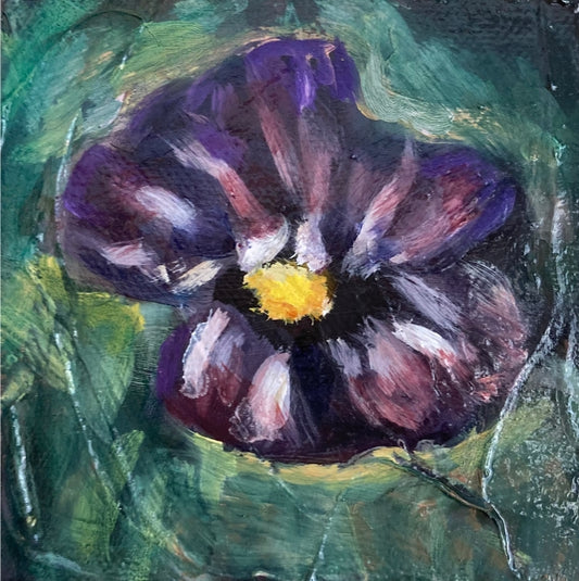 "Viola Vibrance"
